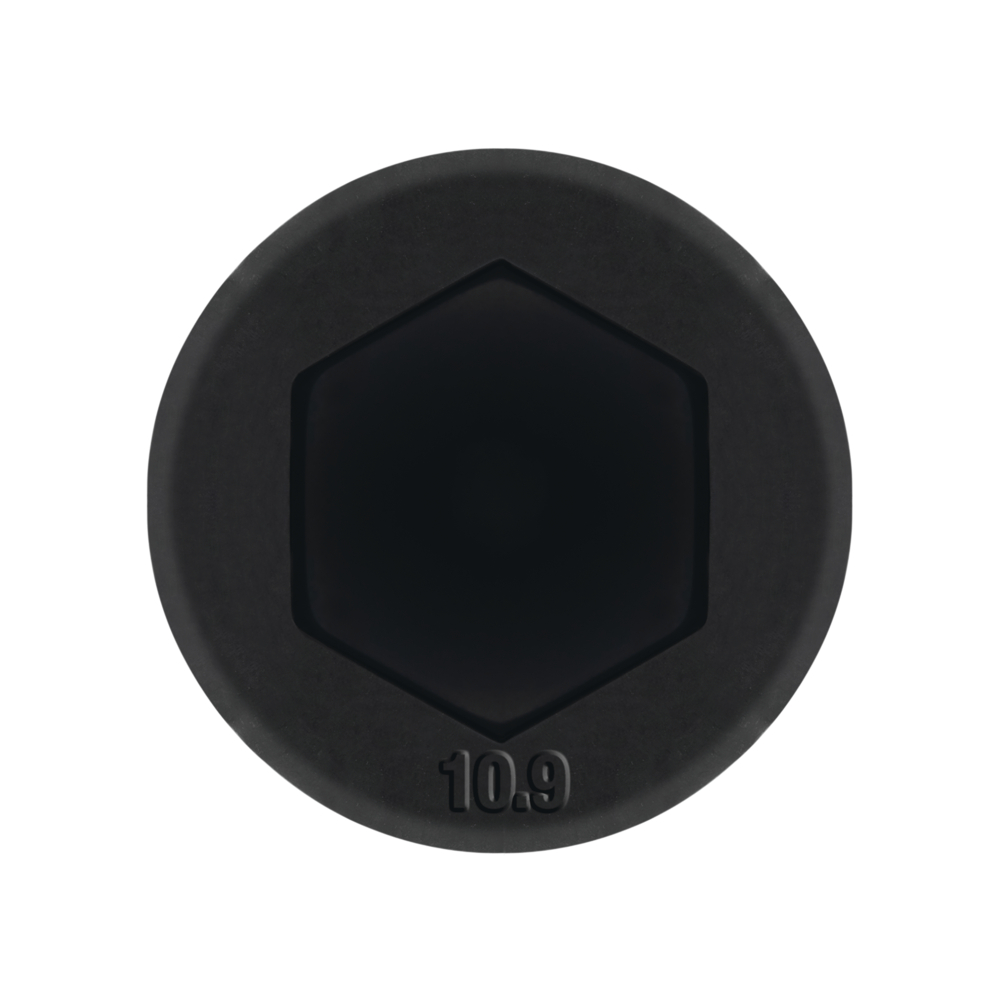 DIN 912 10.9 BL - ISO 4762