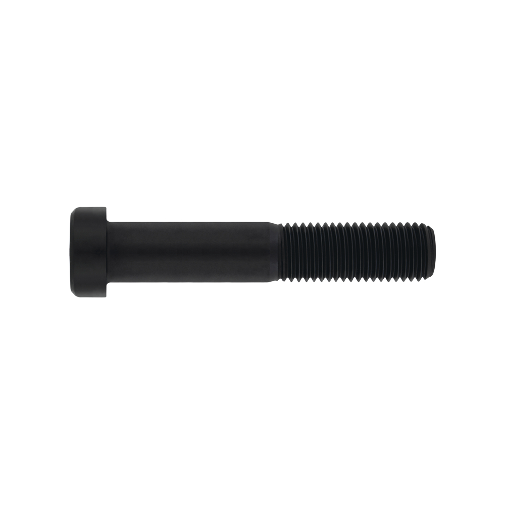 DIN 7984 8.8 BL