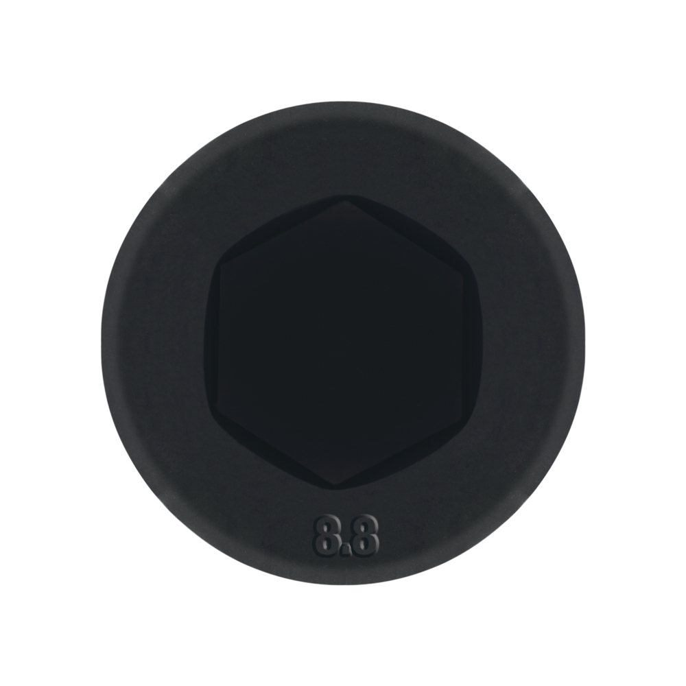 DIN 7984 8.8 BL