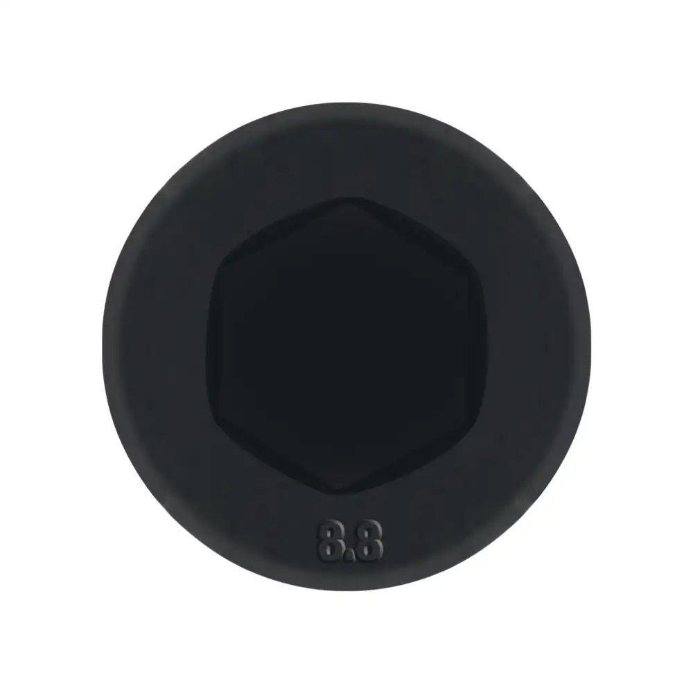 DIN 7984 8.8 BL
