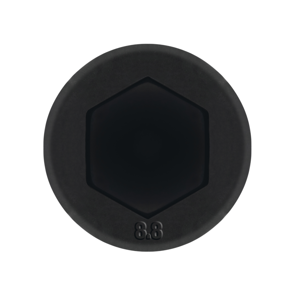 DIN 912 8.8 BL - ISO 4762
