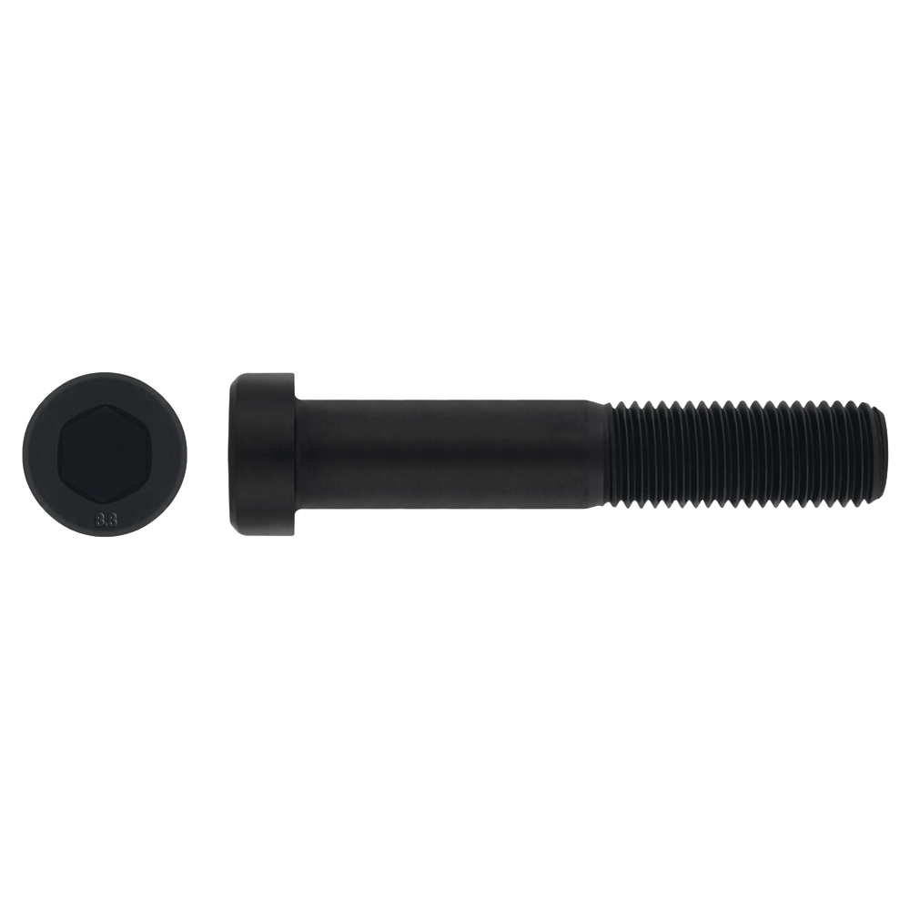 DIN 7984 8.8 BL