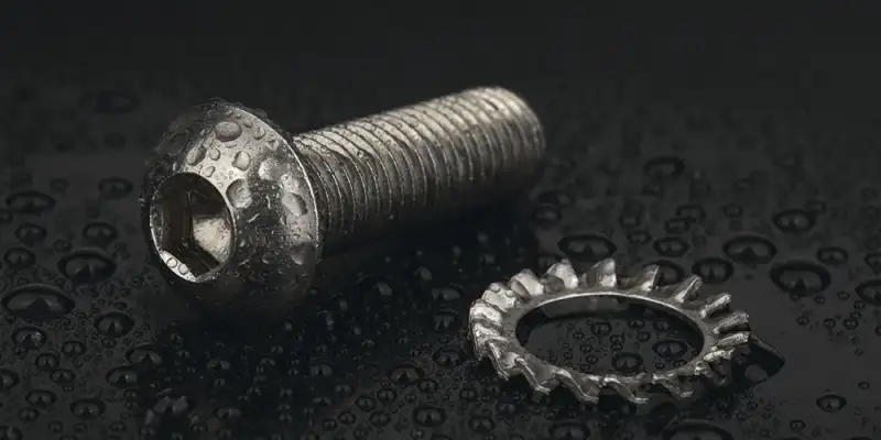 Tornillo y arandela inoxidables
